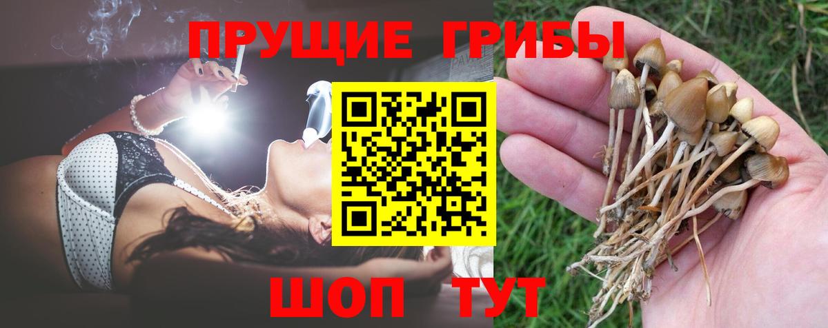 Химки  где продают наркотики  Вход с VPN  Псилоцибиновые грибы Psilocybine cubensis  Псилоцибиновые грибы ЛСД 